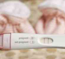 Osjetljivost testa trudnoće