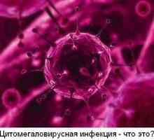 Citomegalovirus (CMV) - što je to?