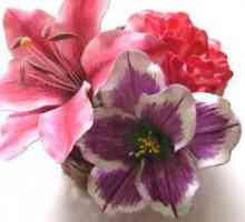 Cvijeće iz foamirana - Master Class