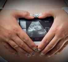 Dijagnoza izvanmaternične trudnoće