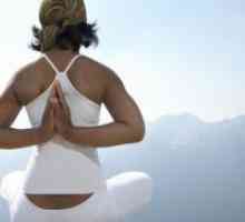 Što je joga?