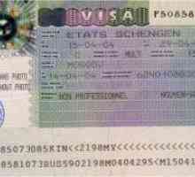 Dokumenti za schengenske vize