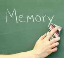 Dugoročno pamćenje