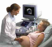Doplerometrii za trudnice - brojkama, stopa