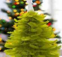 Božićno drvce izrađeni od perja svojim rukama
