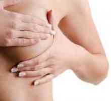Fibro masne involucije mliječne žlijezde