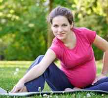Fitnes za trudnice: stručni savjet