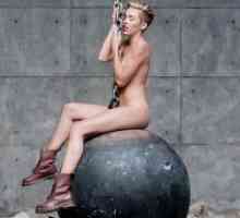 Slikanje Miley Cyrus 2013