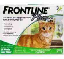 Frontline za mačke