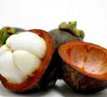 Voće mangostin - korisna svojstva