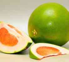 Grejpfrut voće: korisna svojstva, kalorične, koristi i štete