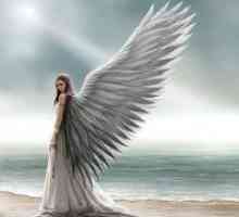 Nagađanje „anđeo čuvar”
