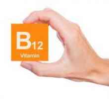 Koji sadrži vitamin B12?