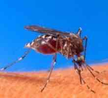 Ugrizi komaraca gel