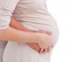 Genetska analiza trudnoće - rezultati
