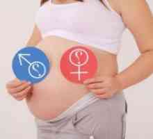 Hormoni u trudnoći