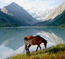 Planine Altaj - Atrakcije