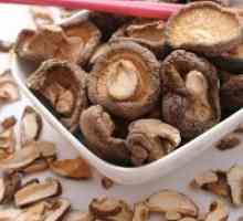 Shiitake gljive - koristi i štete