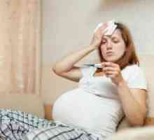 Gripa u trudnoći