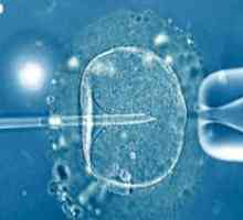 Rasplodnih embrija
