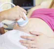 Vrata maternice nesposobnost za vrijeme trudnoće