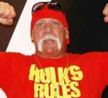 Zbog skandaloznog videa Hulk Hogan je postao bogatiji za 140 milijuna