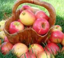 Jabuke - koristi i štete
