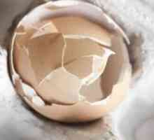 Ljuska od jajeta - koristi i štete