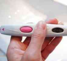 Elektronski test na trudnoću