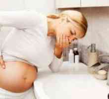 Enterosgel tijekom trudnoće