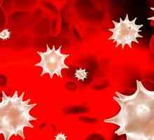 Crvene krvne stanice u krvi djeteta