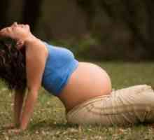 Joga za trudnice: 2 tromjesečju