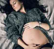 Zašto san trudnica?