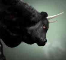 Zašto san crnog bika?