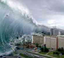 Zašto san tsunami?