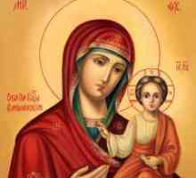 Zašto san ikone Majke Božje?
