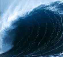 Zašto sanjati o velikim valovima?