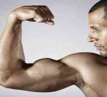 Kako brzo napumpati biceps kod kuće?