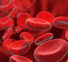 Kako brzo povećati hemoglobina?