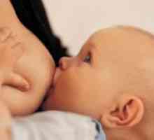 Koliko često trebam hraniti novorođenče s majčinim mlijekom?