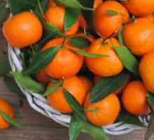 Kako čuvati mandarine?