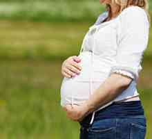 Kako endometrij u trudnoći