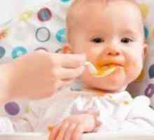Kako hraniti dijete s 8 mjeseci?