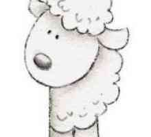 Kako nacrtati brnjicu ovce?