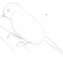 Kako nacrtati pticu?