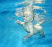Kako naučiti dijete da pliva?