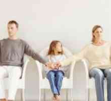 Kako podnijeti zahtjev za razvod, ako postoje maloljetna djeca?
