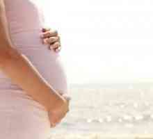 Kako povećati imunitet tijekom trudnoće?