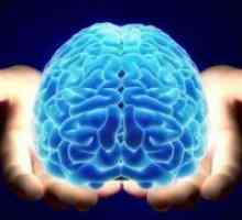 Kako razviti mozak je 100 posto?