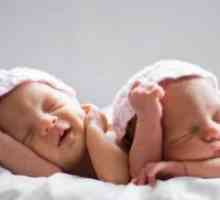 Kako roditi blizance?